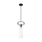 Nuvo Fixure, Pendant, 1-Light, Incandescent, 60W, 120V, T9, Medium Base, Height: 19.75 60/7153 - alternate 4